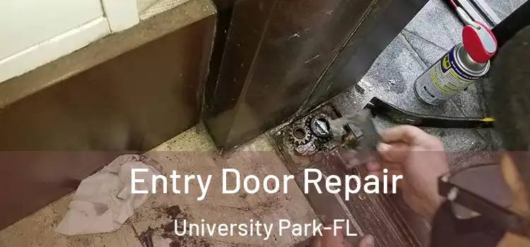 Entry Door Repair University Park-FL