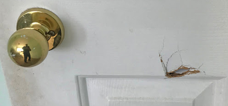 interior door hole repair University Park