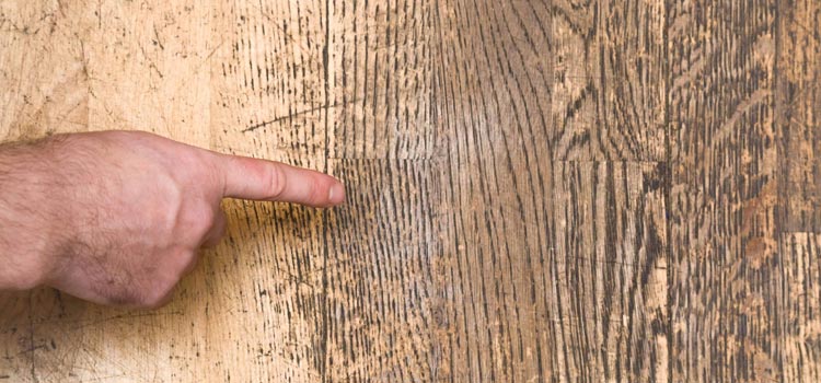 Wood Door Scratch Repair in University Park